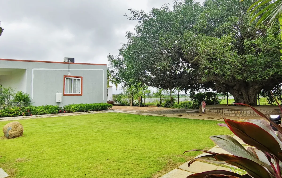 Amara Haven gallery image one