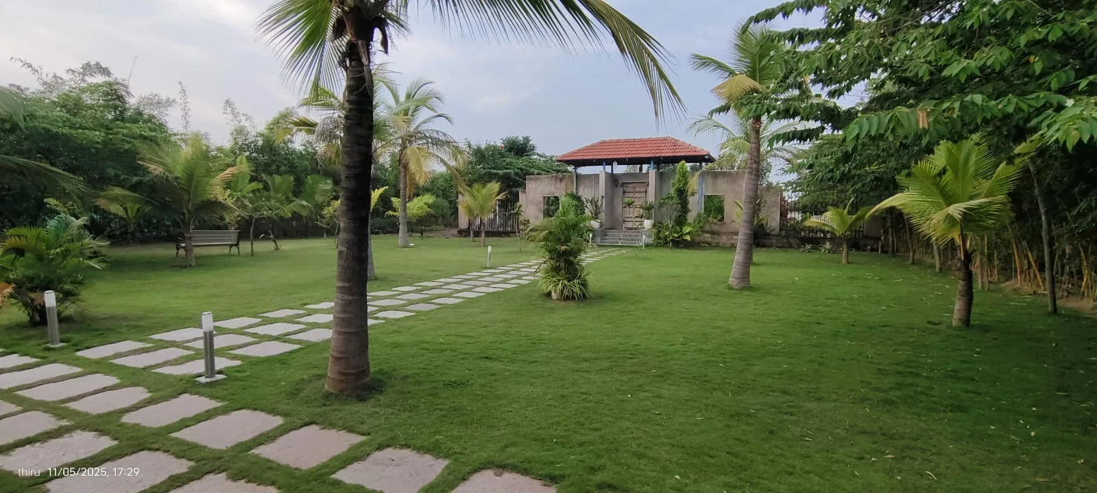 Palm-lined lawn and garden path at CoQuitos