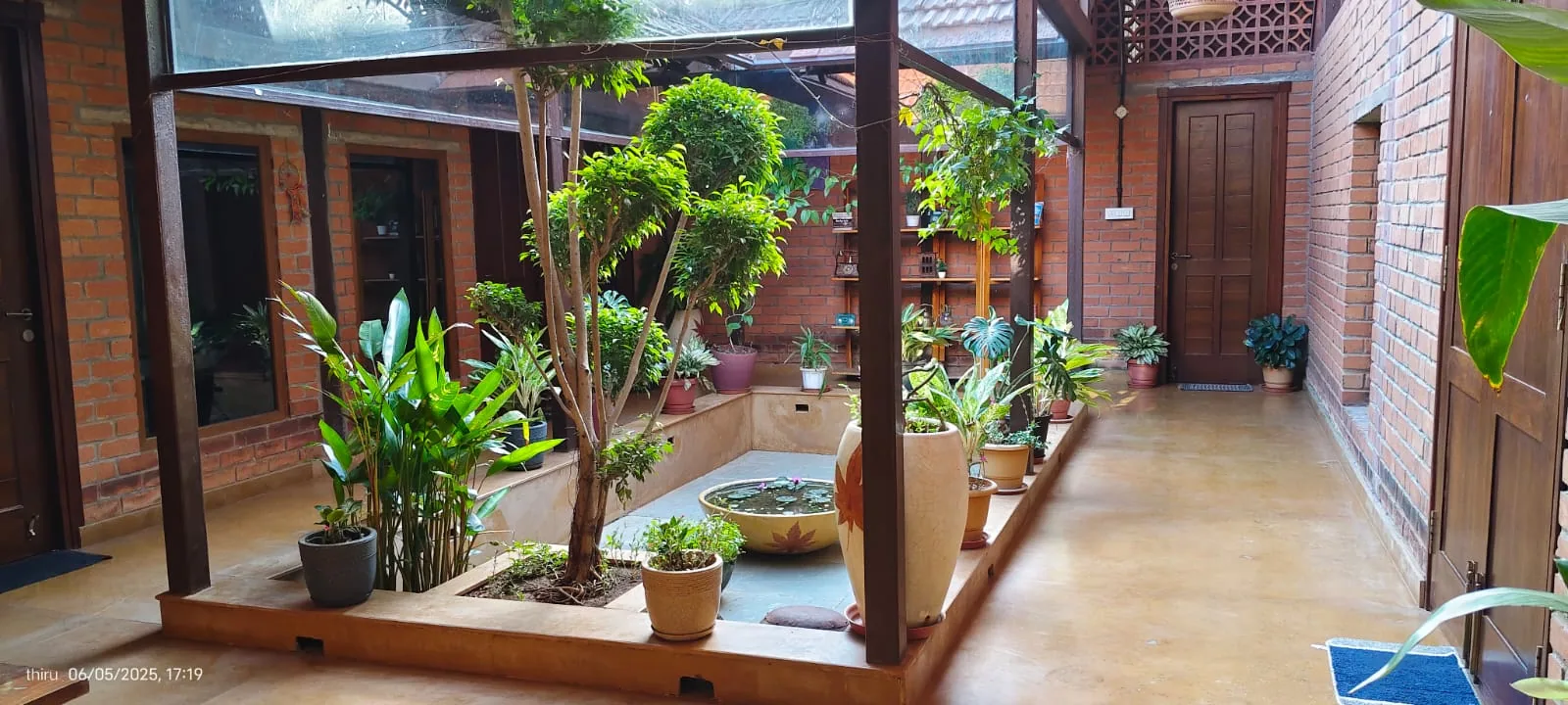 Plant-filled open courtyard at CoQuitos