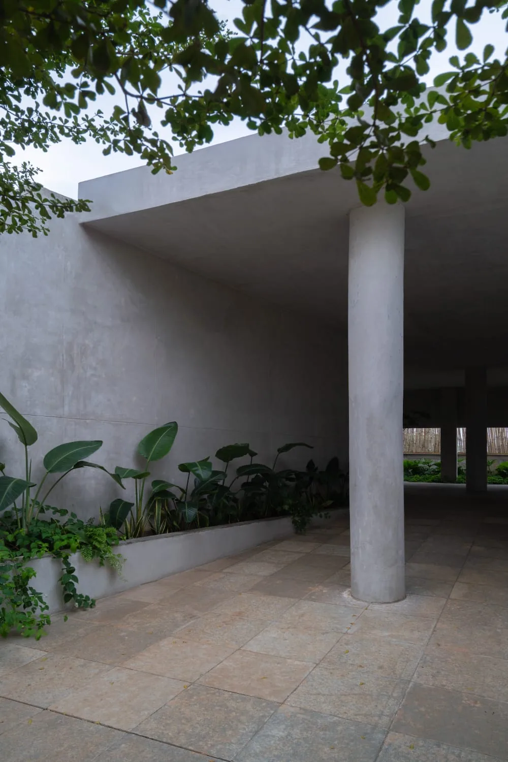 Minimal concrete walkway at R.House